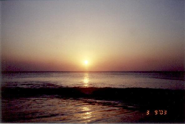 costa7.jpg (28266 bytes)